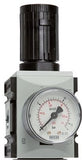 Featured image of collection - Pressure Regulators Futura 2, 3/8 - 1/2 Inch, 5200 L/min