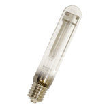 Featured image of collection - High Pressure Sodium-Vapour Lamps