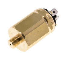 Low Pressure Switches (Max 6 Bar)