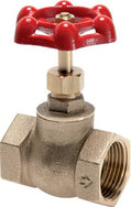Brass Globe Valves