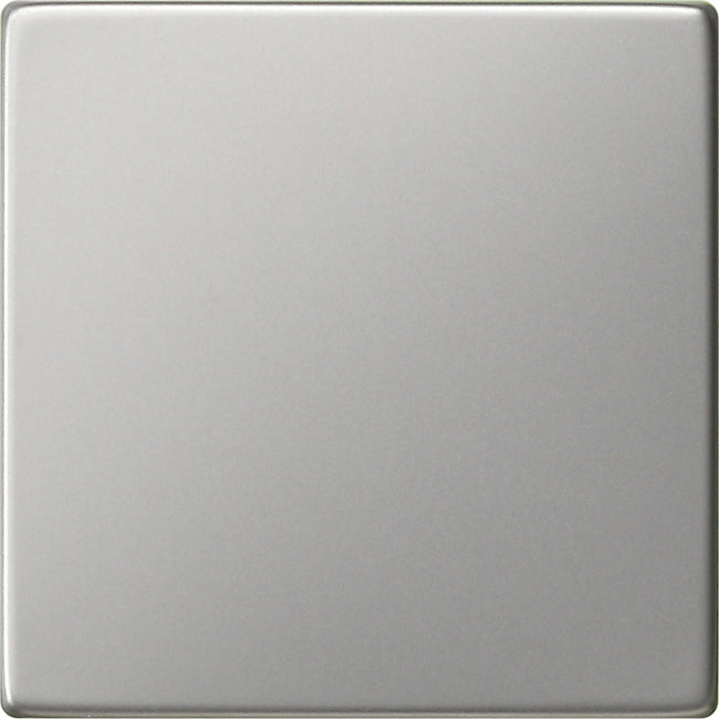 Gira System 55 Control Element/Central Plate Switchgear - 0296600