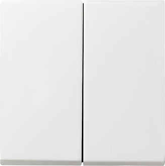 Gira System 55 Control Element/Central Plate Switchgear - 029527