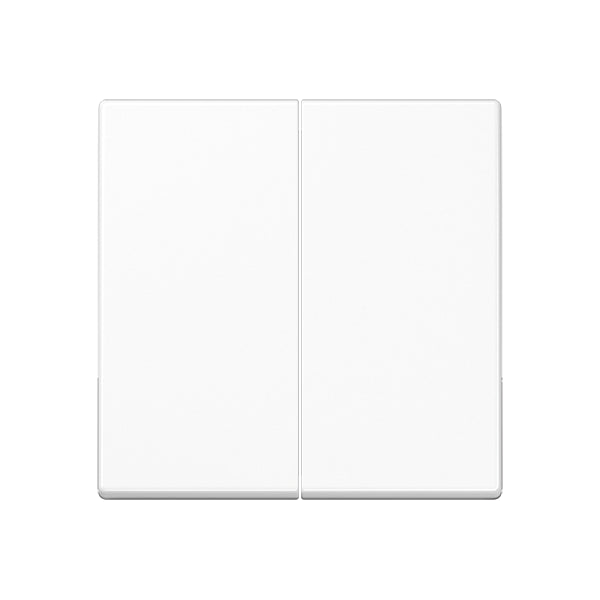 Jung A500 Control Element/Central Plate Switchgear - A595WW