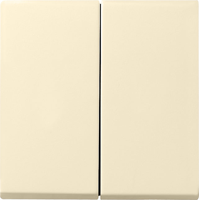 Gira System 55 Control Element/Central Plate Switchgear - 029501