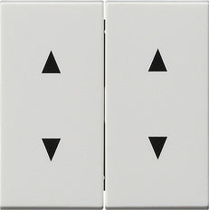 Gira System 55 Control Element/Central Plate Switchgear - 115027