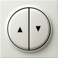 Gira S-Color Control Element/Central Plate Switchgear - 029440