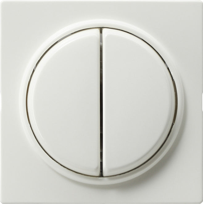 Gira S-Color Control Element/Central Plate Switchgear - 029540
