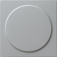Gira S-Color Switch Insert - 026842