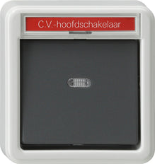 Gira Splashproof Surface-Mounted Installation Switch - 011635