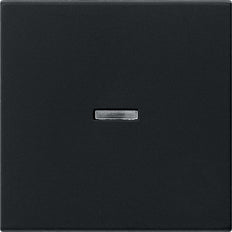 Gira System 55 Control Element/Central Plate Switchgear - 0290005