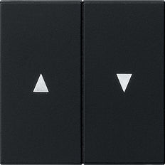 Gira System 55 Control Element/Central Plate Switchgear - 0294005