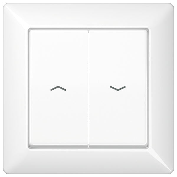 Jung AS500 Control Element/Central Plate Switchgear - AS590-5PWW