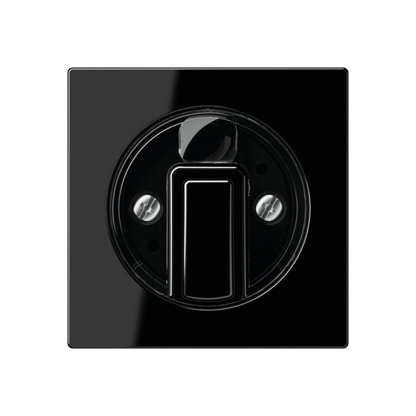 Jung Control Element/Central Plate Switchgear - A1541SW