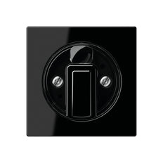 Jung Control Element/Central Plate Switchgear - A1541SW