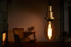 Osram Vintage 1906 LED bulb - 4052899962095