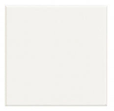 Bticino Axolute White Cover Plate 2 Modules - BTHD4951