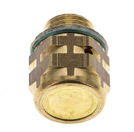 G3/8'' Brass Filler Breather Plug with Air Filter