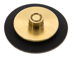 Replacement Diaphragm G1/4'' Water Pressure Reducers S-48RD