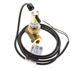 G1/4'' brass inline paddle flow switch 2.3-4.7 l/min 100 bar