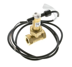 G3/8'' brass inline paddle flow switch 2.8-6 l/min 100 bar