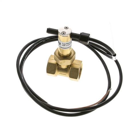 G3/4'' brass inline paddle flow switch 7.7-13.4 l/min 100 bar