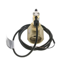 G1 1/4'' brass inline paddle flow switch 22-38.6 l/min 25 bar