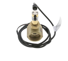 G1 1/4'' brass inline paddle flow switch 22-38.6 l/min 25 bar