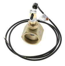 G1 1/2'' brass inline paddle flow switch 34.8-64.2 l/min 25 bar