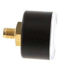 0..40 Bar (0..580 psi) Pressure Gauge Rear Plastic/Brass 40 mm Class 2.5
