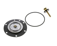 Replacement Diaphragm Filter-Regulator Standard 3