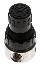 Pressure Regulator G1/4'' 350 l/min 0.2-3.0bar/3-44psi Stainless Steel/POM
