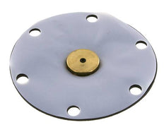 Replacement Diaphragm PTFE/NBR 1'' Brass