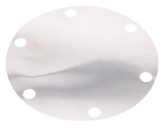 Replacement Diaphragm Stainless Steel 1''