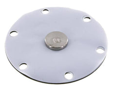 Replacement Diaphragm Gases and Liquids PTFE/NBR 1'' Stainless Steel