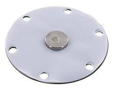 Replacement Diaphragm Gases and Liquids PTFE/NBR 1'' Stainless Steel