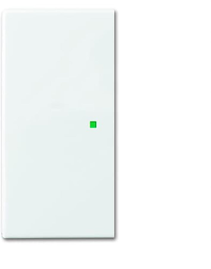 ABB Busch-Jaeger Busch-FreeAtHome Control Element/Central Plate Switchgear - 2CKA006220A0360 [2 Pieces]