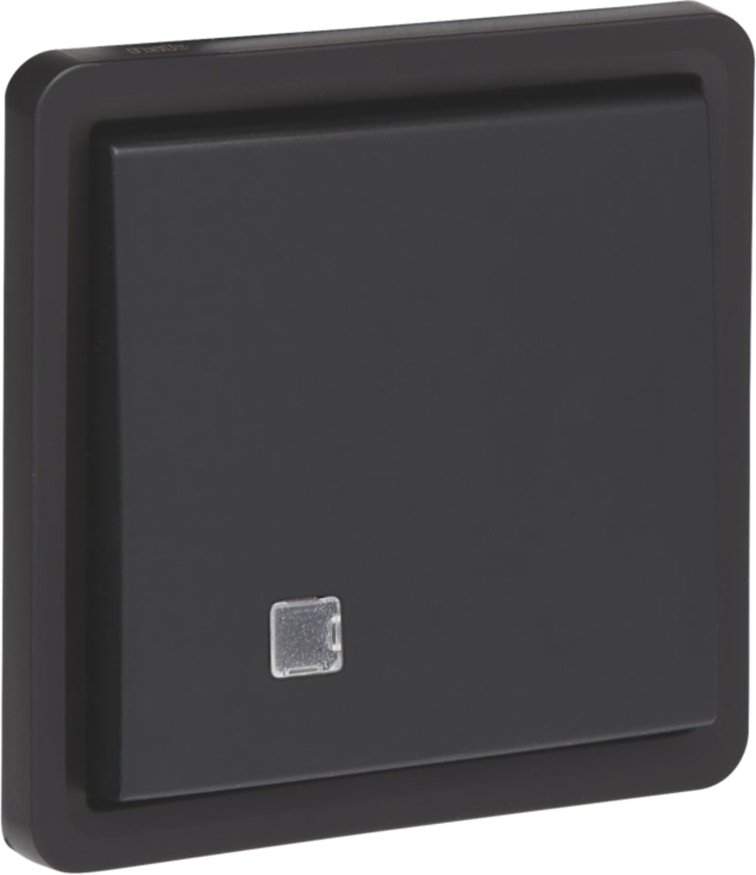 IP55 Two Pole Control Switch 10AX 250V With Plug Terminals - 761-37205