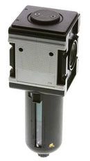Microfilter 0.01microns G1'' 1500 l/min Semi-Auto Protective Cage Polycarbonate Multifix 4