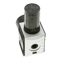 Precision Pressure Regulator for Manifold Assembly G1/4''&3/8'' 2500 l/min 0.1-1.0bar/1-14psi PA Futura 1