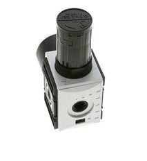 Precision Pressure Regulator for Manifold Assembly G1/4'' 2000 l/min 0.1-1.0bar/1-14psi PA Futura 1