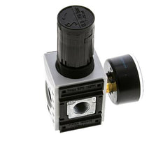 Pressure Regulator for Manifold Assembly G1/4''&3/8'' 2500 l/min 0.5-16.0bar/7-232psi PA Futura 1