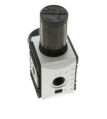 Precision Pressure Regulator for Manifold Assembly G3/8'' 4500 l/min 0.5-10.0bar/7-145psi PA Futura 2