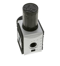 Pressure Regulator for Manifold Assembly G1/2''&3/8'' 5200 l/min 0.2-4.0bar/3-58psi PA Futura 2