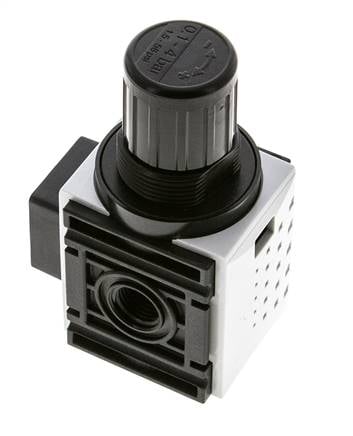 Pressure Regulator for Manifold Assembly G1/4'' 1000 l/min 0.2-4.0bar/3-58psi PA Futura 0