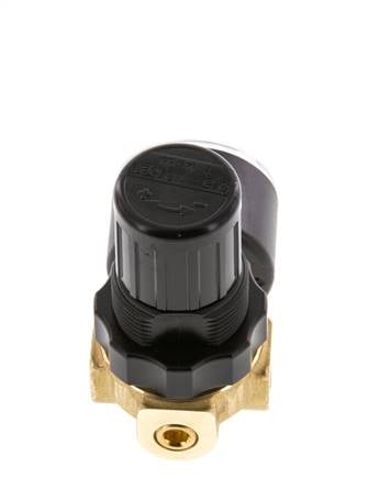 Pressure Regulator G1/4'' 330 l/min 0.5-10.0bar/7-145psi Air Water Brass Standard 0