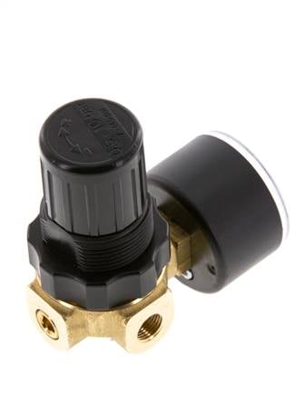 Pressure Regulator G1/4'' 330 l/min 0.5-10.0bar/7-145psi Air Water Brass Standard 0