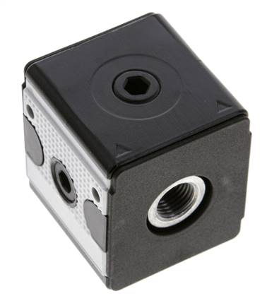 Distributor G1/4 700 l/min with Check Valve Multifix 1