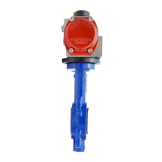 Pneumatic Butterfly Valve DN65 (2-1/2 inch) Wafer Cast Iron Stainless Steel EPDM Spring Opening
