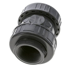 PVC Check Valve Rp 2'' 0.012-16bar (0.17-232psi)