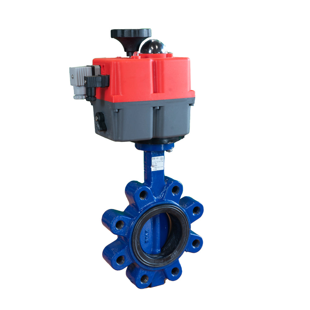Electric Butterfly Valve DN100 24-240V AC/DC Modulating Lug GGG40 PTFE/EPDM J+J